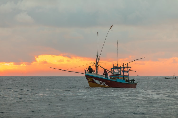 o impacto da pesca artesanal é muito menor comparado ao impacto da pesca industrial nos oceanos