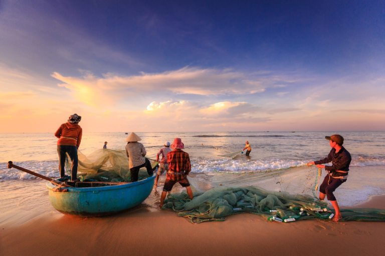 o impacto da pesca artesanal é muito menor comparado ao impacto da pesca industrial nos oceanos