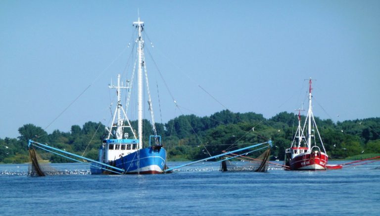 barcos representando a pesca industrial e seu impacto no oceano