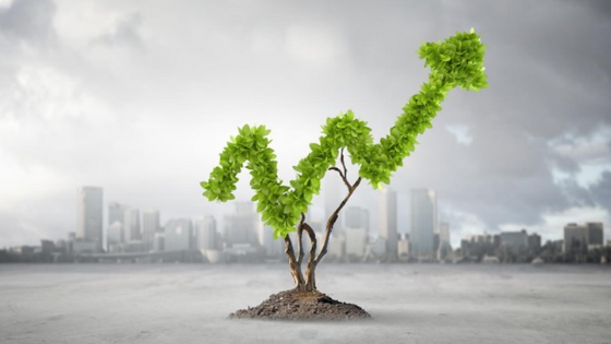 Imagem ilustrativa de um gráfico crescente sobre uma árvore seca.