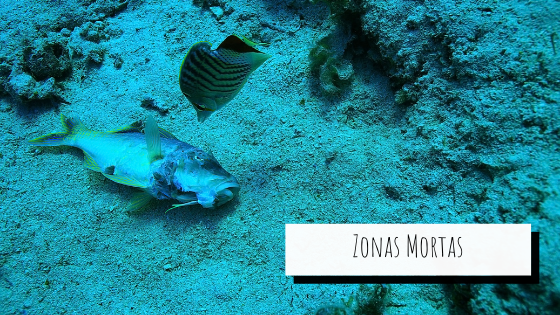 representação das zonas mortas oceânicas