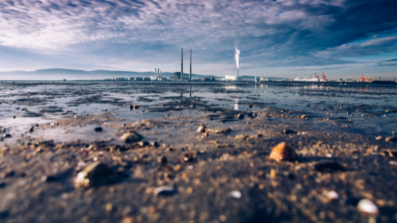 Imagem de um lago poluído com uma indústria ao fundo.