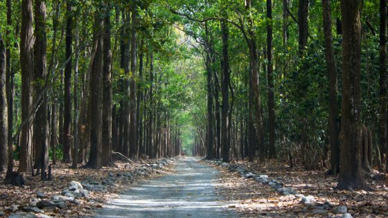 lavkush-gupta-m02YmeDhPjw-unsplash